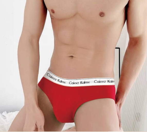 Cotton High Rise Pouch Brief