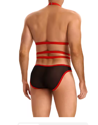 Red & Black Mesh Jockstrap & Harness Bodysuit