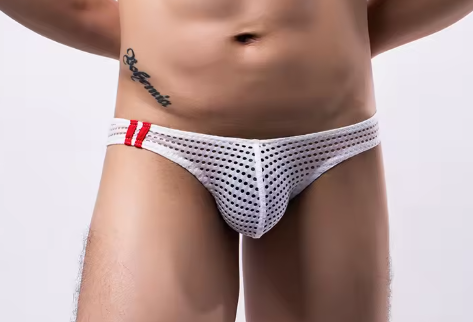 White Mesh Brief